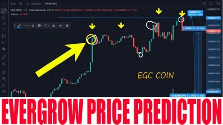 EverGrow Coin Price Prediction – Detailed Analysis, Data, & Insights (An In-depth Guide)