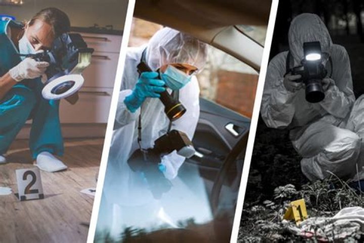 Exploring Crime Scene Evidence Through Photographs