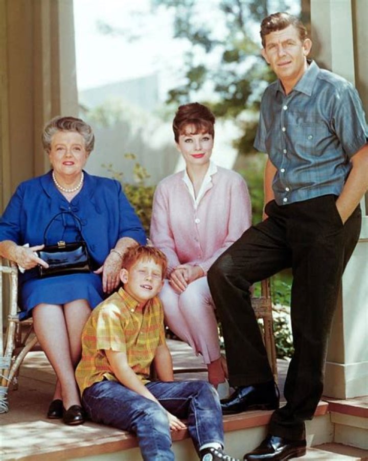 Exploring The Life And Career Of Actress Inger Stevens