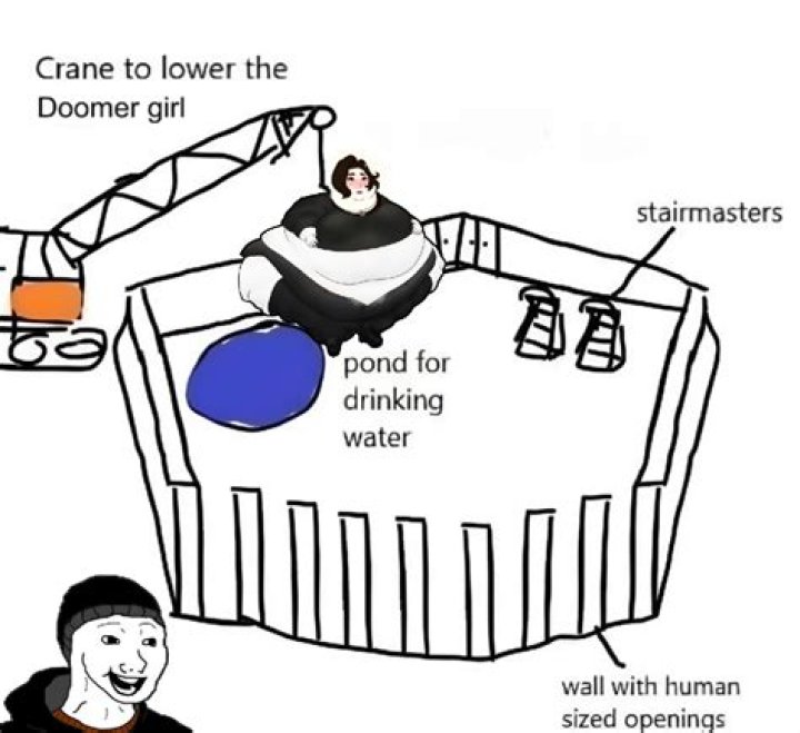 Exploring The World Of Fat Doomer Girl Memes