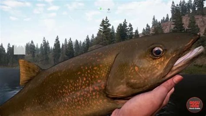 Far Cry 5 Fishing - How to Fish, Equip Rod and Change Bait