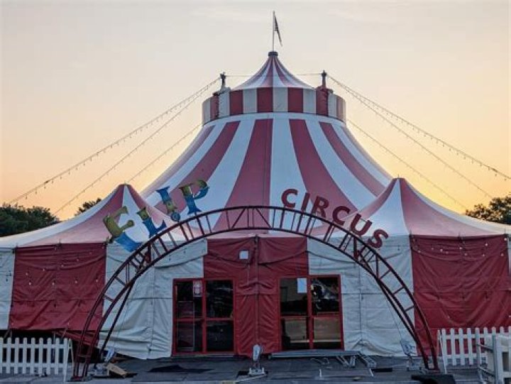 Flip Circus Comes to Town!