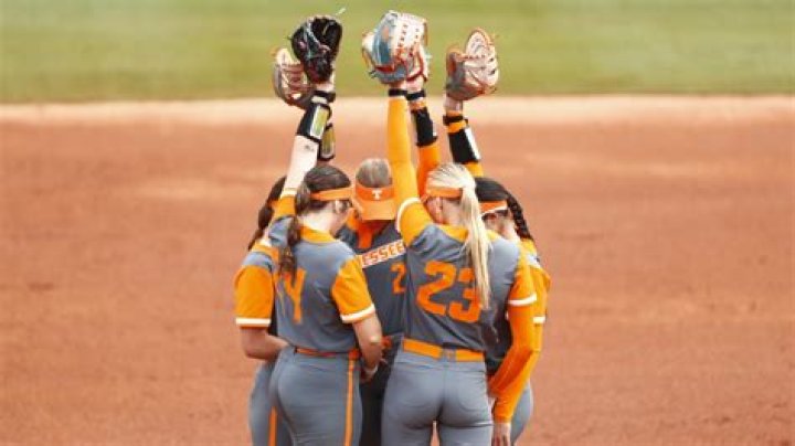 Florida Gulf Coast University Softball Scholarships Guide
