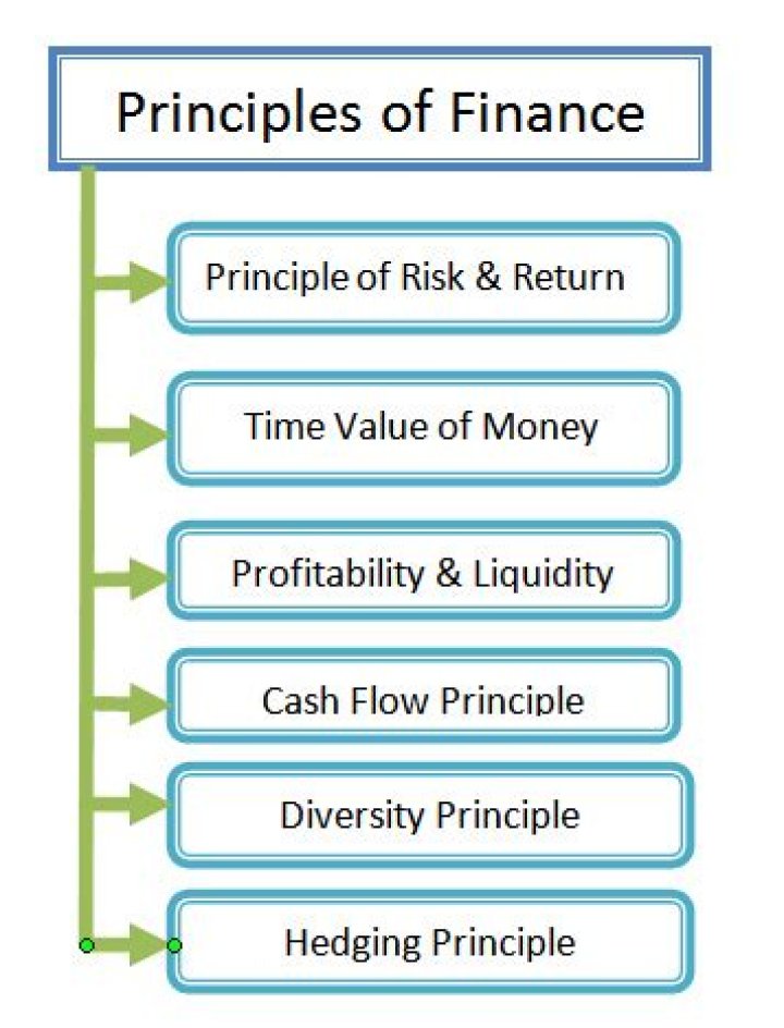 Focus PFP: The Basic Guide To The Principles Of Personal Finance