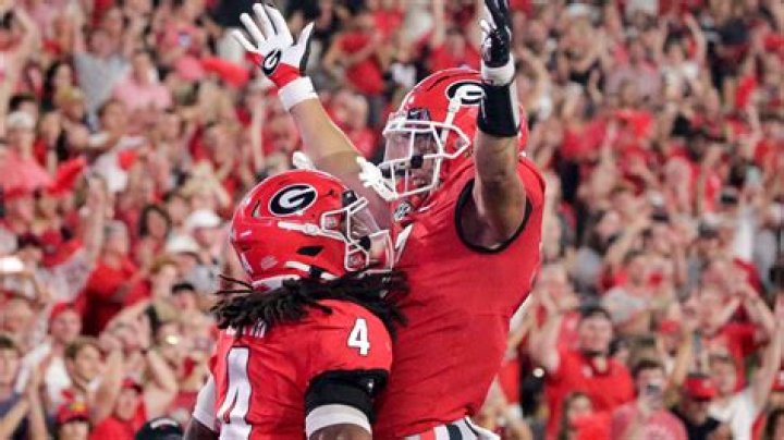 Georgia Bulldogs vs. Michigan Wolverines | Orange Bowl