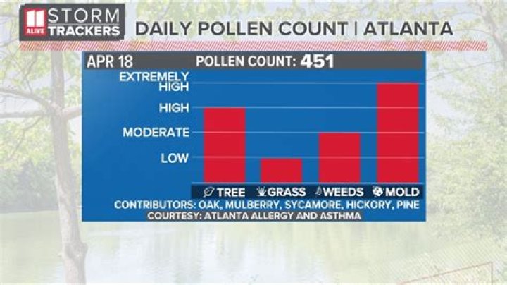 Georgia sees record breaking pollen count