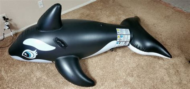 Get WET: Introducing The First-Ever Pool Sex Toy