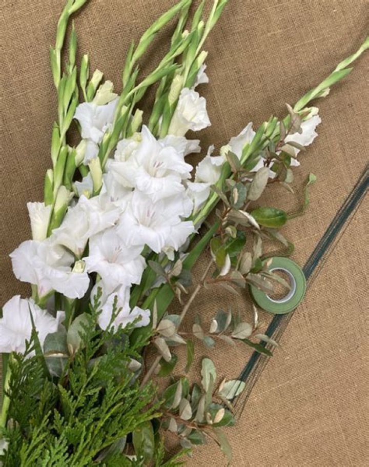 Gladiolus for the Farmer Florist