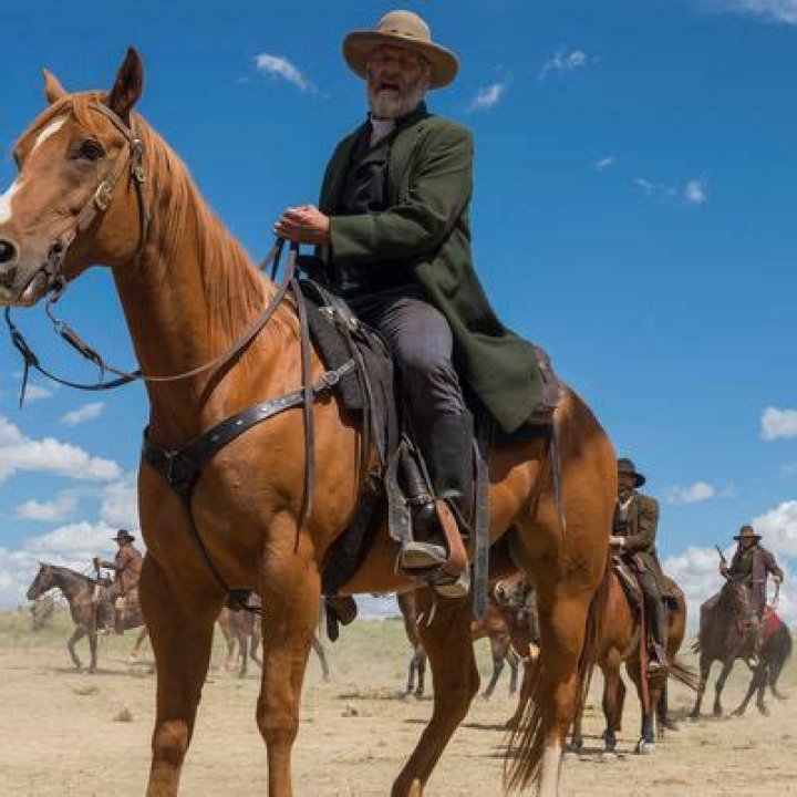 Godless Series Premiere Recap: The One-Armed Man