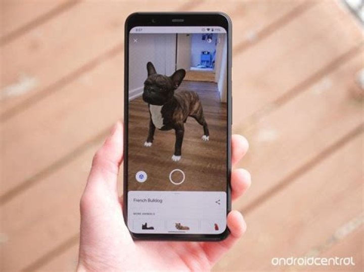 Google's AR animal farm now includes pigs, milk cows, and more