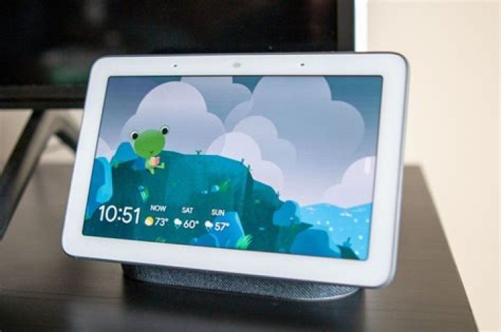 Google's cute Weather Frog finally arrives on Nest Hub devices