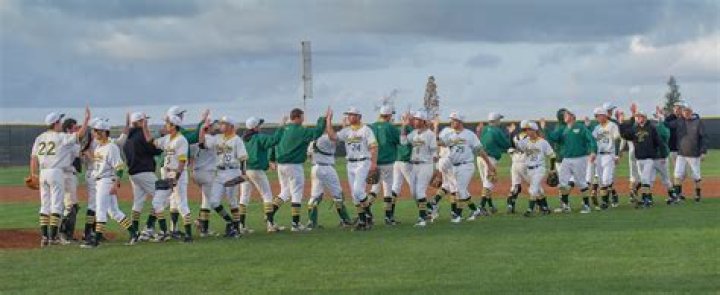 Grossmont College Baseball Scholarships Guide