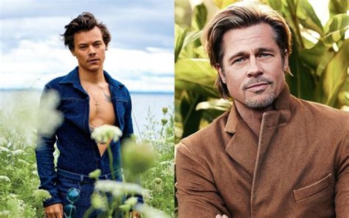 Harry Styles Cast Alongside Brad Pitt in 'Faster, Cheaper, Better'