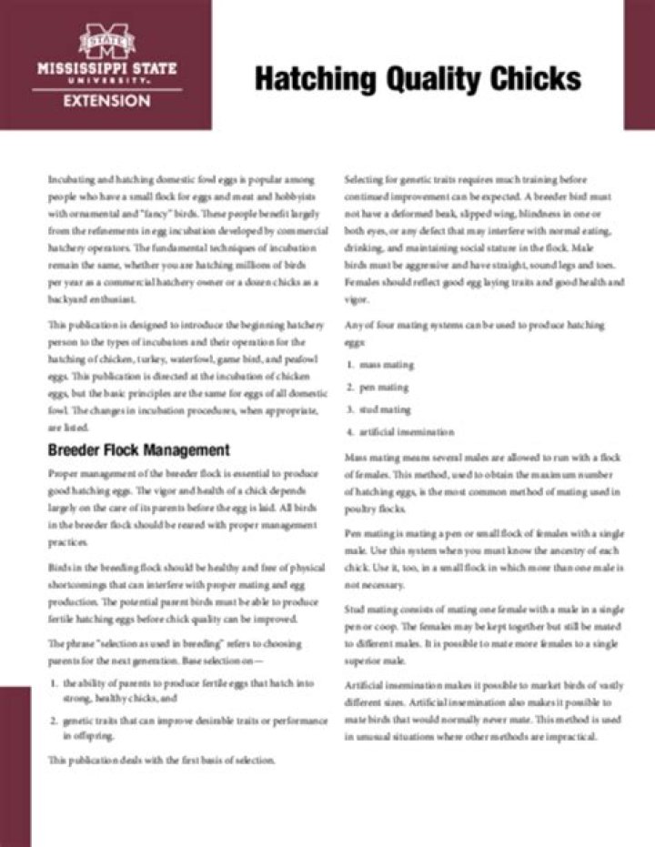 Hatching Quality Chicks | Mississippi State University Extension Service
