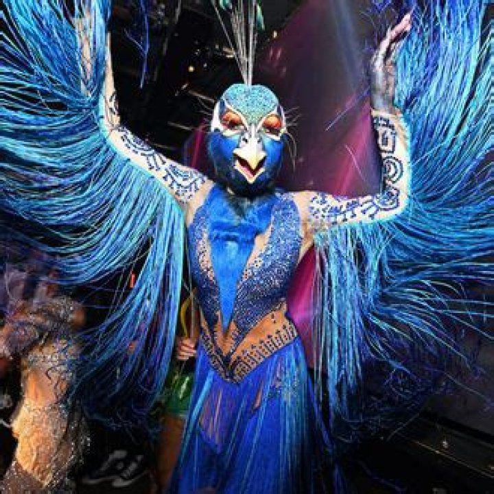 Heidi Klum’s Halloween Was Cirque du So Plume