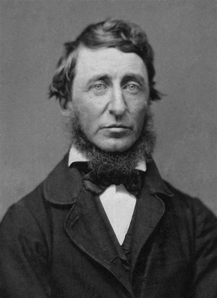 Henry David Thoreau Introduction | Shmoop