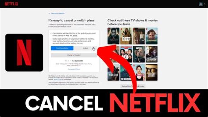 Here's Why Millions Of People Will Probably Cancel Netflix Next Year