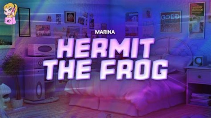 Hermit the Frog – Deciphering the Cracks in the Glass Balloon