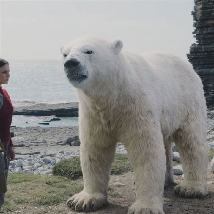 His Dark Materials Recap: What I Want You to Be