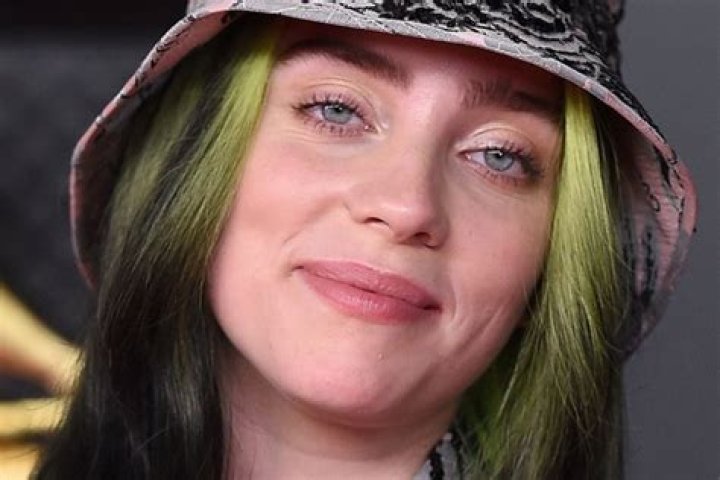Horse Girl Billie Eilish May or May Not Own a Horse