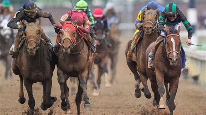 Horses and drinking -- Kentucky Derby facts