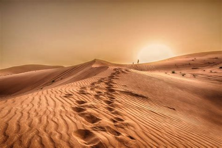How an ancient society thrived in the Sahara without water