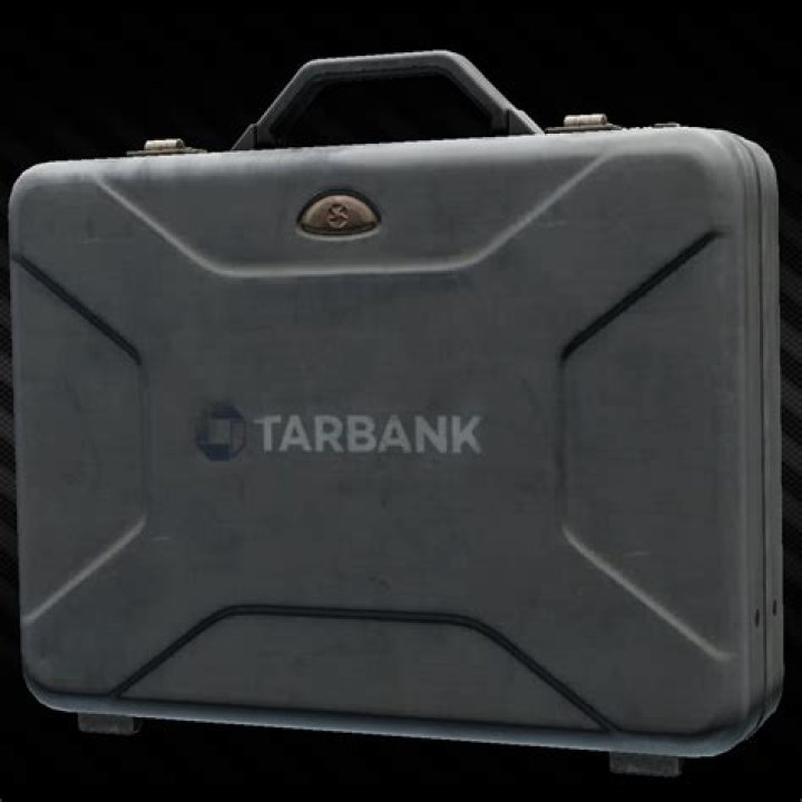 How big is a Money case tarkov?