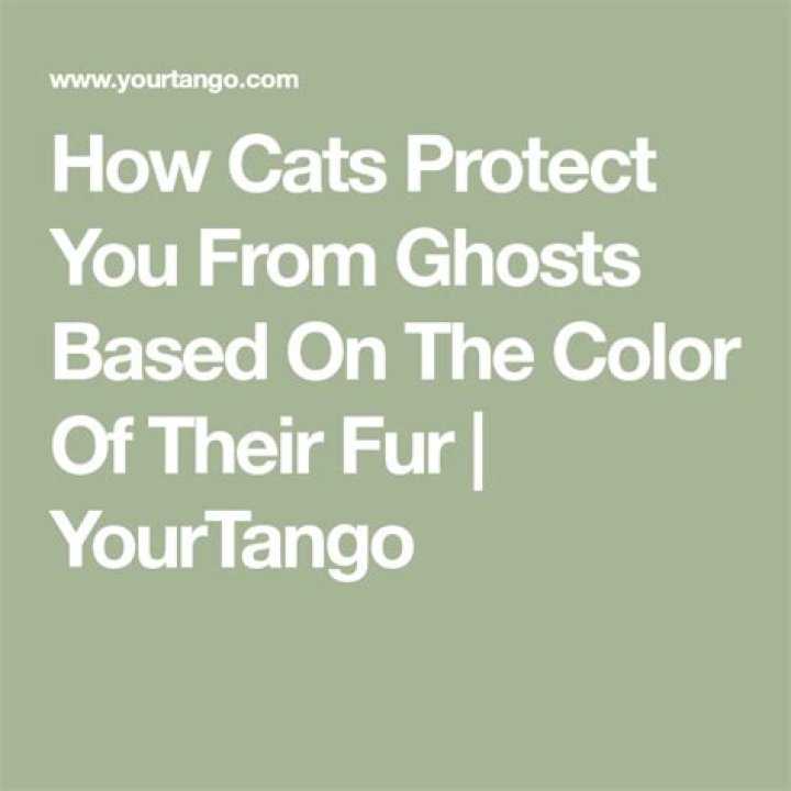 How Cats Protect You From Ghosts Based On The Color Of Their Fur