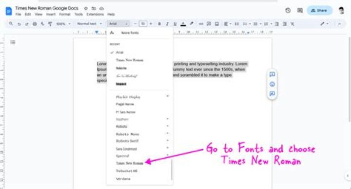 How do I get Times New Roman font on Google Docs? [Solved]