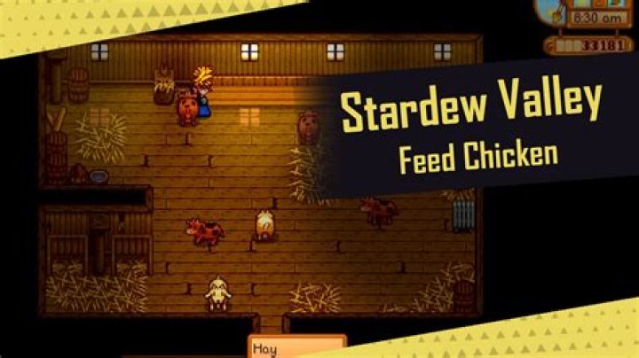 How do I make my Stardew Valley Chicken happy?