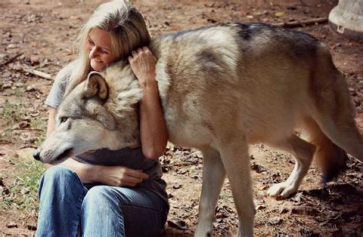 How do you befriend a wolf?