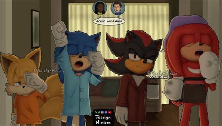 How do you cheat in Sonic 1?