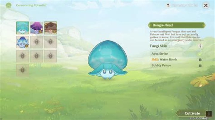 How do you get a floating pet in Genshin Impact?