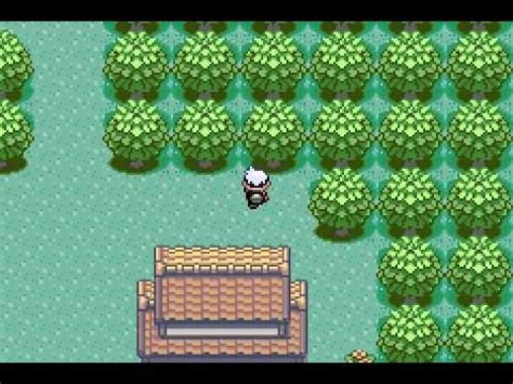 How do you get rid of a bad egg in Pokemon Emerald?