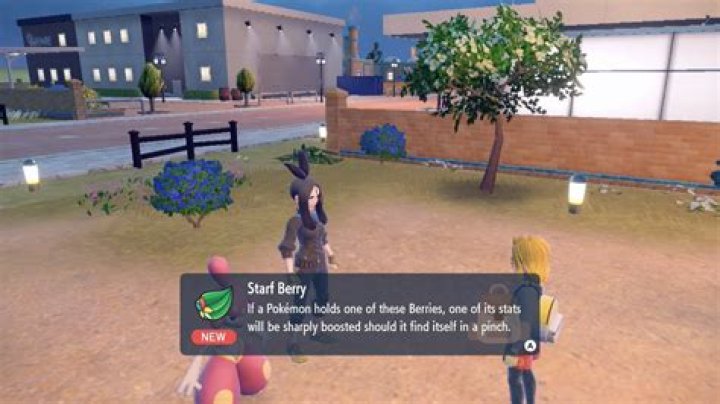 How do you get the starf Berry?