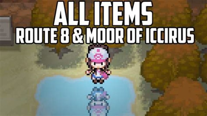 How do you get to Route 8 from Icirrus city?