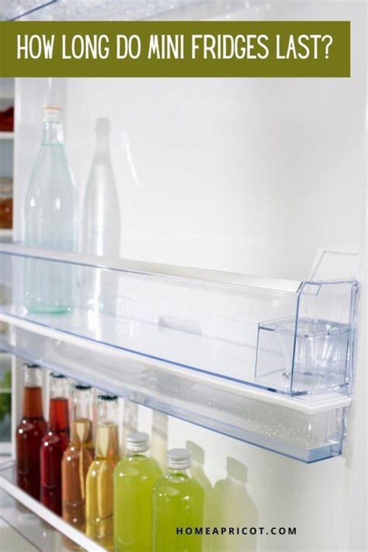 How long do mini fridges last?