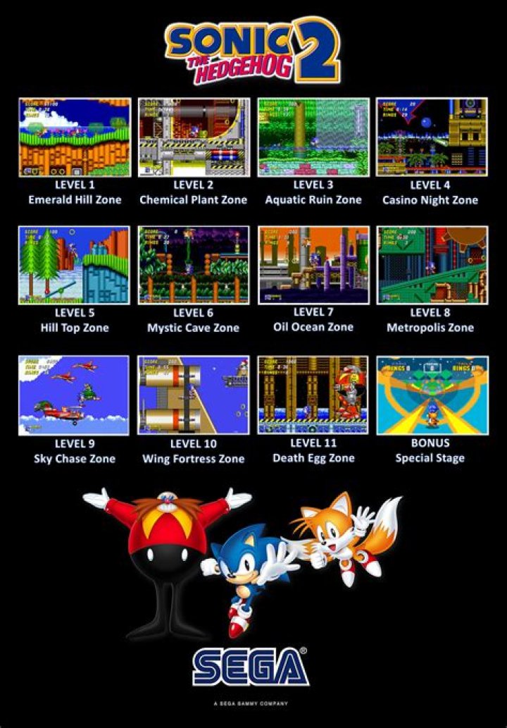 How many levels are in Sonic?