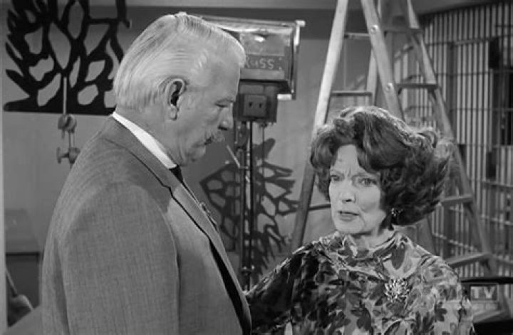How Many Times Did Denver Pyle Appear On Perry Mason