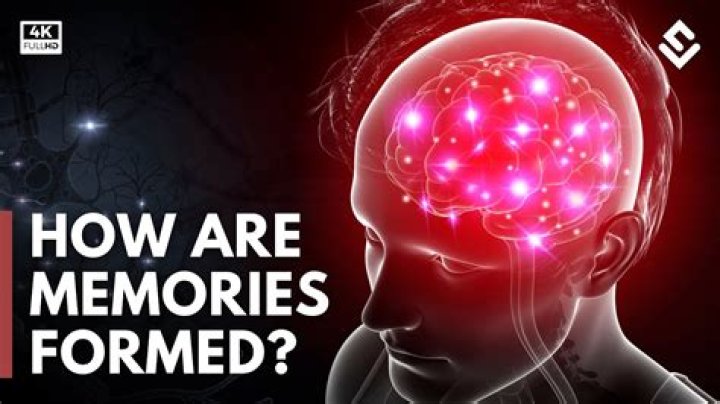 How memories form, fade, and persist over time