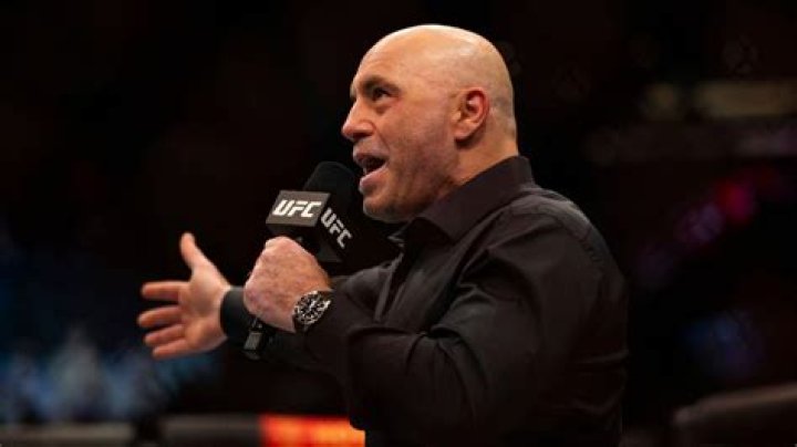 How Much Did Popular UFC Commentator Joe Rogan Make from Fear Factor?