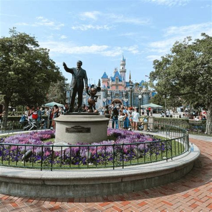 How Much Does Disneyland Make A Day California