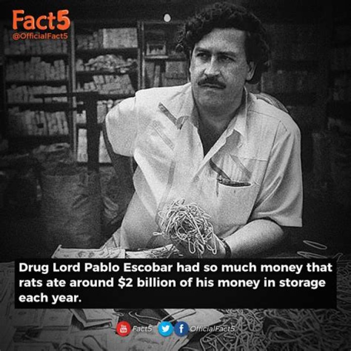 How Much Does Pablo Escobar Make A Day? A Deep Dive Into His Financial Empire