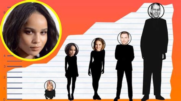 How Tall is Zoë Kravitz? Zoë Kravitz Height