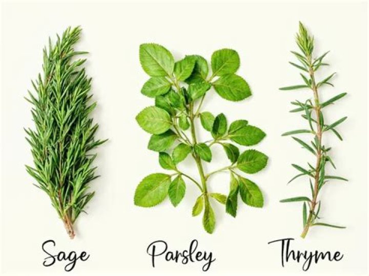 How To Chop Basil, Rosemary, Thyme + More Herbs