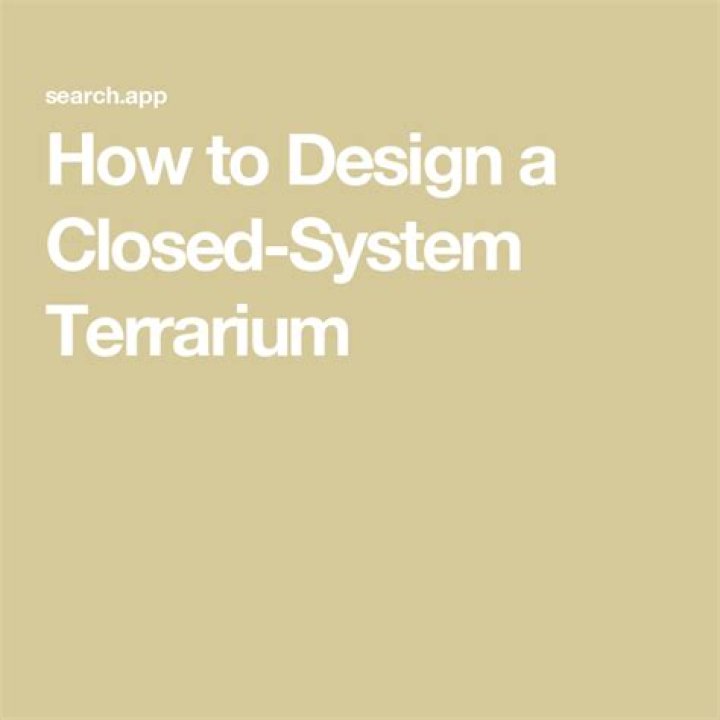How to Design a Closed-System Terrarium