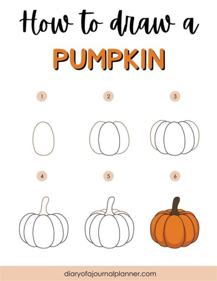How to Draw a Pumpkin in 5 Simple Steps
