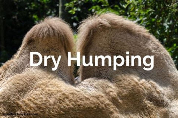 How To Get Off Using Frottage (aka Dry-Humping)