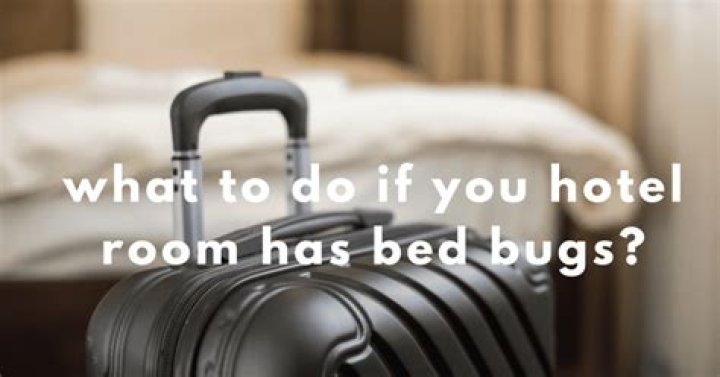 How To Tell If Your Hotel/Motel Room Has Bed Bugs: A Comprehensive Guide