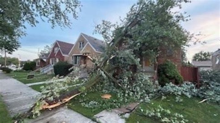 Illinois News